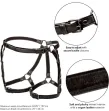 CALEXOTICS - EUPHORIA EQUITAZIONE COSCIA CALEXOTICS - EUPHORIA EQUITAZIONE COSCIA