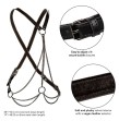 CALEXOTICS - EUPHORIA MULTICHAIN HARNESS PREMIUM PLUS SIZE CALEXOTICS - EUPHORIA MULTICHAIN HARNESS PREMIUM PLUS SIZE
