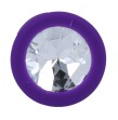 INTENSE - SHELKI S PLUG ANAL LILAS INTENSE - SHELKI S PLUG ANAL LILAS