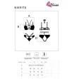 LIVCO CORSETTI FASHION - NIKRITA LC 90674 SUJETADOR PANTIES NEGRO L