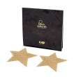 BIJOUX INDISCRETS - FLASH GOLDEN STAR NIPPELABDECKUNGEN BIJOUX INDISCRETS - FLASH GOLDEN STAR NIPPELABDECKUNGEN