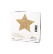 BIJOUX INDISCRETS - PEZONERAS FLASH ESTRELLA DORADA BIJOUX INDISCRETS - PEZONERAS FLASH ESTRELLA DORADA