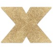 BIJOUX INDISCRETS - FLASH CROSS GOLD NIPPLE COVERS BIJOUX INDISCRETS - FLASH CROSS GOLD NIPPLE COVERS