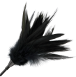 DARKNESS - SCHWARZE FEDERPEITSCHE DARKNESS - SCHWARZE FEDERPEITSCHE
