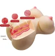 CRAZY BULL - FIONA REALISTIC FEMALE TORSO VAGINA AND ANAL 7.1 KG CRAZY BULL - FIONA REALISTIC FEMALE TORSO VAGINA AND ANAL 7.1 KG