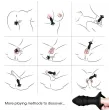 ARMONY - KYLIN FINGER VIBRATOR and ANAL PLUG REMOTE CONTROL BLACK ARMONY - KYLIN FINGER VIBRATOR and ANAL PLUG REMOTE CONTROL BLACK