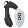 NALONE - PROP TELECOMANDO PROSTATICO ANALE NALONE - PROP TELECOMANDO PROSTATICO ANALE