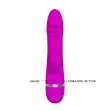 PRETTY LOVE - FLIRTATION VIBRATEUR AVEC LAPIN DAVID PRETTY LOVE - FLIRTATION VIBRATEUR AVEC LAPIN DAVID