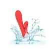 CALEXOTICS - PALISADES PASSION ROT CALEXOTICS - PALISADES PASSION ROT