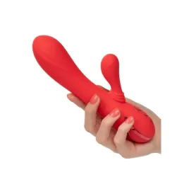 CALEXOTICS - PALISADES PASSION RED