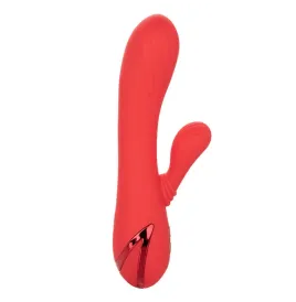 CALEXOTICS - PALISADES PASSION RED