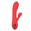 CALEXOTICS - PALISADES PASSION ROT CALEXOTICS - PALISADES PASSION ROT