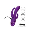 CALEXOTICS - LONG BEACH BOOTYLICIOUS PURPLE CALEXOTICS - LONG BEACH BOOTYLICIOUS PURPLE