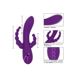CALEXOTICS - LONG BEACH BOOTYLICIOUS PURPLE
