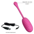 PRETTY LOVE - OEUF VIBRANT RECHARGEABLE CATALINA ROSE APP PRETTY LOVE - OEUF VIBRANT RECHARGEABLE CATALINA ROSE APP