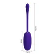 PRETTY LOVE - OEUF VIBRANT JULIUS IMPERMÉABLE-RECHARGEABLE VIOLET PRETTY LOVE - OEUF VIBRANT JULIUS IMPERMÉABLE-RECHARGEABLE VIOLET