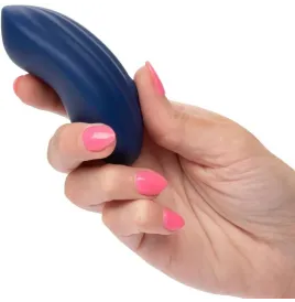 CALEXOTICS - CASHMERE VELVET CURVE BLUE