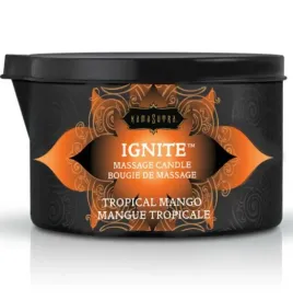 KAMASUTRA - CANDELA DA MASSAGGIO KAMASUTRA - MANICO TROPICALE 170 GR