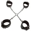 CALEXOTICS - EUPHORIA CRAVATE DE PORC CALEXOTICS - EUPHORIA CRAVATE DE PORC