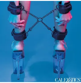 CALEXOTICS - EUPHORIA CRAVATE DE PORC