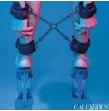 CALEXOTICS - EUPHORIA HOG TIE CALEXOTICS - EUPHORIA HOG TIE