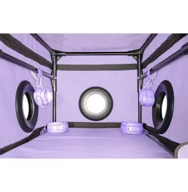 SECRET DOME - KINK CLUB LA NICHE CABINE VIOLET