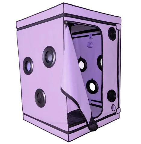 SECRET DOME - KINK CLUB CABIN SCANDALE PURPLE