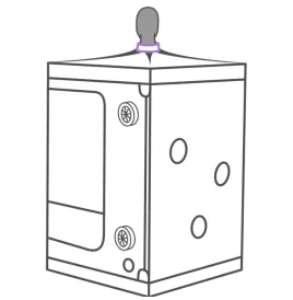 SECRET DOME - KINK CLUB CABIN SCANDALE PURPLE
