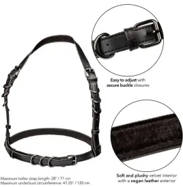 CALEXOTICS - EUPHORIA IMBRACATURA CON FIBBIA PLUS TAGLIA NERA