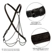 CALEXOTICS - EUPHORIA MULTICHAIN HARNESS PREMIUM ÜBERGRÖSSE CALEXOTICS - EUPHORIA MULTICHAIN HARNESS PREMIUM ÜBERGRÖSSE