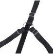 SUBBLIME - 955205 BH-SET MIT VERSTELLBARER SCHWARZER SCHLEIFE L-XL SUBBLIME - 955205 BH-SET MIT VERSTELLBARER SCHWARZER SCHLEIFE L-XL