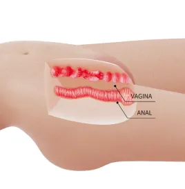 CRAZY BULL - MIA REALISTISCHER WEIBLICHER TORSO VAGINA UND ANAL 8,5 KG