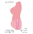 DÉSIR CACHÉ - MASTURBATEUR VAGIN ET ANUS JUICY DOUBLE D 5 KG DÉSIR CACHÉ - MASTURBATEUR VAGIN ET ANUS JUICY DOUBLE D 5 KG