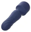 CALEXOTICS - CHARISMA CHARM MASSAGER 12 FUNCTIONS PURPLE CALEXOTICS - CHARISMA CHARM MASSAGER 12 FUNCTIONS PURPLE