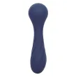 CALEXOTICS - CHARISMA TEMPTATION MASSAGER 12 FUNKTIONEN LILA CALEXOTICS - CHARISMA TEMPTATION MASSAGER 12 FUNKTIONEN LILA