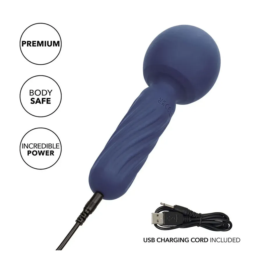 CALEXOTICS - CHARISMA SEDUCTION MASSEUR 12 FONCTIONS 17,75 CM X 6,25 CM VIOLET CALEXOTICS - CHARISMA SEDUCTION MASSEUR 12 FONCTIONS 17,75 CM X 6,25 CM VIOLET