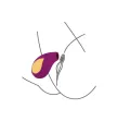 XOCOON - DIVINE LOVE STIMULATOR PURPLE XOCOON - DIVINE LOVE STIMULATOR PURPLE