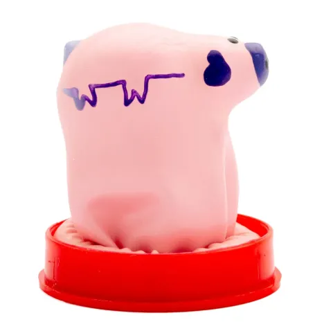 CONDOMERIE - PRÉSERVATIFS FANTAISIE PEINTS À LA MAIN PETIT COCHON