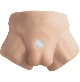 SILEXD - APOLLO S REALISTIC MALE LOWER TORSO