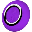 ARMONY - TÉLÉCOMMANDE OEUF VIOLANT PHOENIX VIOLET ARMONY - TÉLÉCOMMANDE OEUF VIOLANT PHOENIX VIOLET