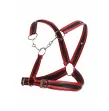 MOB - DNGEON ARNÉS ROJO CON CADENAS TALLA ÚNICA MOB - DNGEON ARNÉS ROJO CON CADENAS TALLA ÚNICA