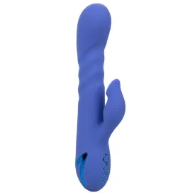CALEXOTICS - LA LOVE VIBRATEUR and SUCCION BLEU PAR CALIFORNIA DREAMING