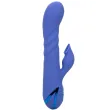 CALEXOTICS - VIBRATORE E ASPIRAZIONE LA LOVE BLU DI CALIFORNIA DREAMING CALEXOTICS - VIBRATORE E ASPIRAZIONE LA LOVE BLU DI CALIFORNIA DREAMING