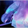 PLAY WIV ME - HUGE PENIS ICE LUGE MOULE PLAY WIV ME - HUGE PENIS ICE LUGE MOULE