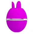 PRETTY LOVE - VIBRATEUR ROND EN SILICONE GEMINI BALL VIOLET PRETTY LOVE - VIBRATEUR ROND EN SILICONE GEMINI BALL VIOLET