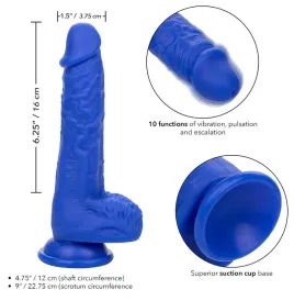 CALEXOTICS - ADMIRAL VIBRATORE DILDO REALISTICO SAILOR BLU