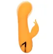 CALEXOTICS - MONTECITO MUSE VIBRATOR RABBIT ORANGE VON CALIFORNIA DREAMING CALEXOTICS - MONTECITO MUSE VIBRATOR RABBIT ORANGE VON CALIFORNIA DREAMING