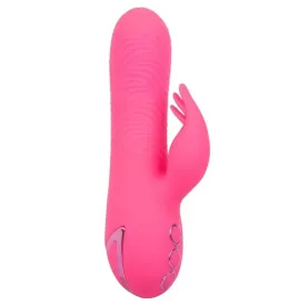 CALEXOTICS - SACRAMENTO SWEETIE VIBRATOR RABBIT PINK BY CALIFORNIA DREAMING