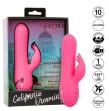 CALEXOTICS - SACRAMENTO SWEETIE VIBRATOR RABBIT PINK VON CALIFORNIA DREAMING CALEXOTICS - SACRAMENTO SWEETIE VIBRATOR RABBIT PINK VON CALIFORNIA DREAMING