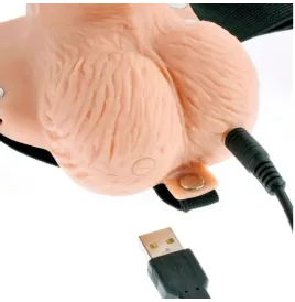 FETISH FANTASY SERIES - ARNÉS AJUSTABLE CONTROL REMOTO PENE REALÍSTICO CON TESTÍCULOS RECARGABLE Y VIBRADOR 15 CM